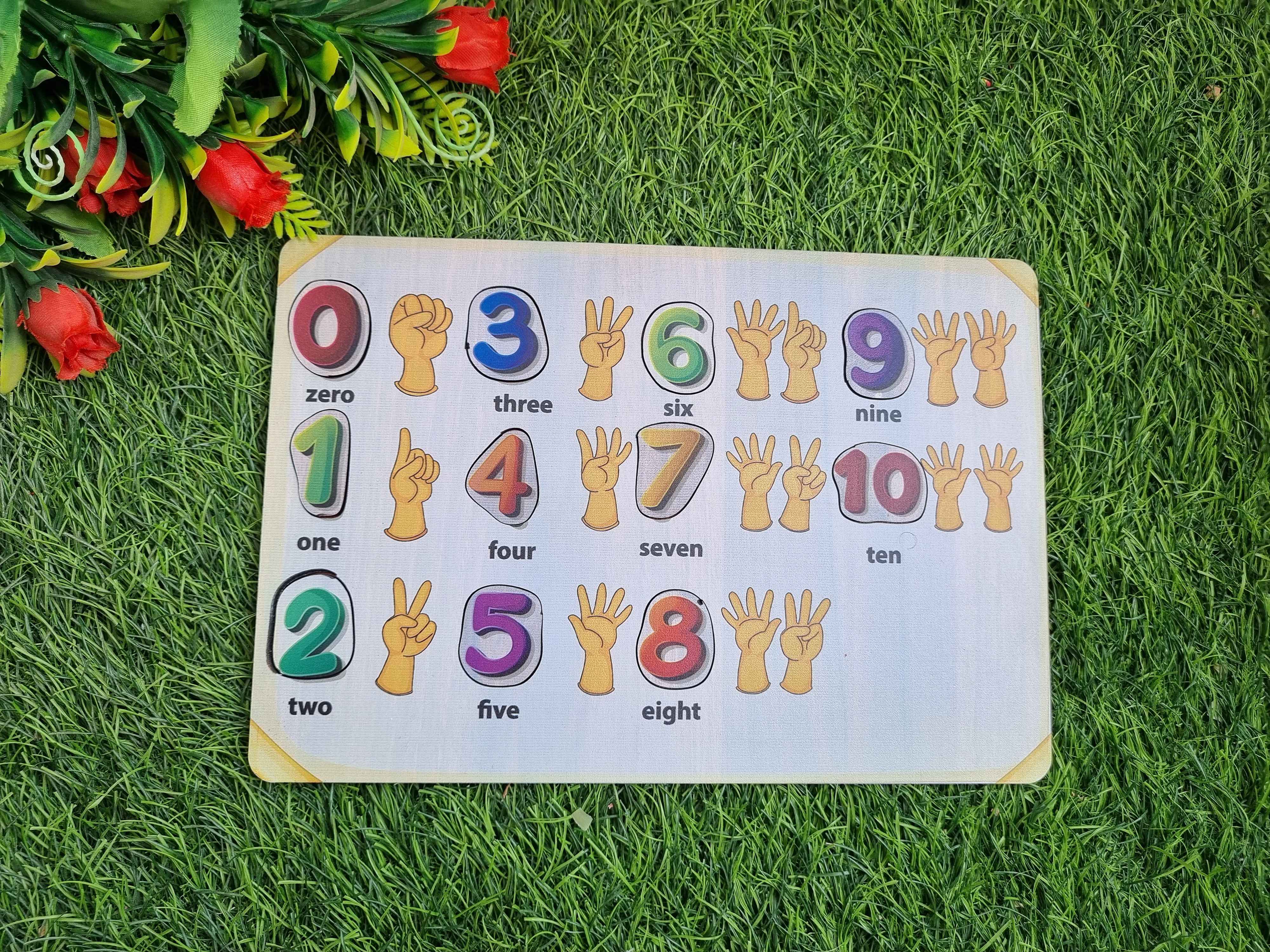 Number Learning Puzzle